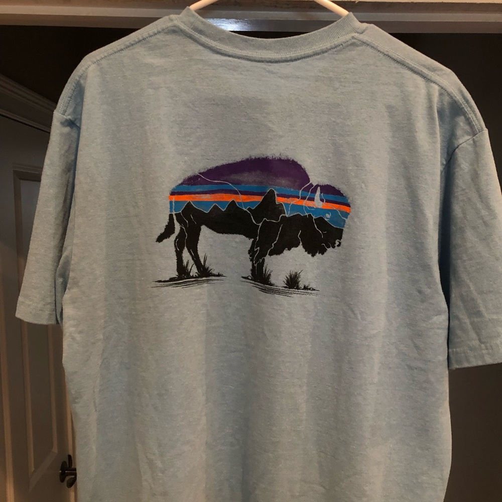 Patagonia Mens Fitz Roy Bison Shirt